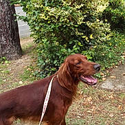 Kiki participe au concours pour gagner de l'argent avec cette photo :