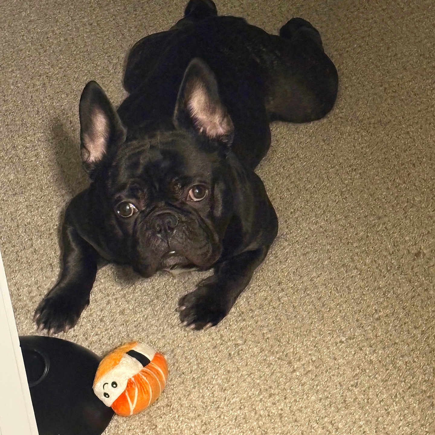Vader