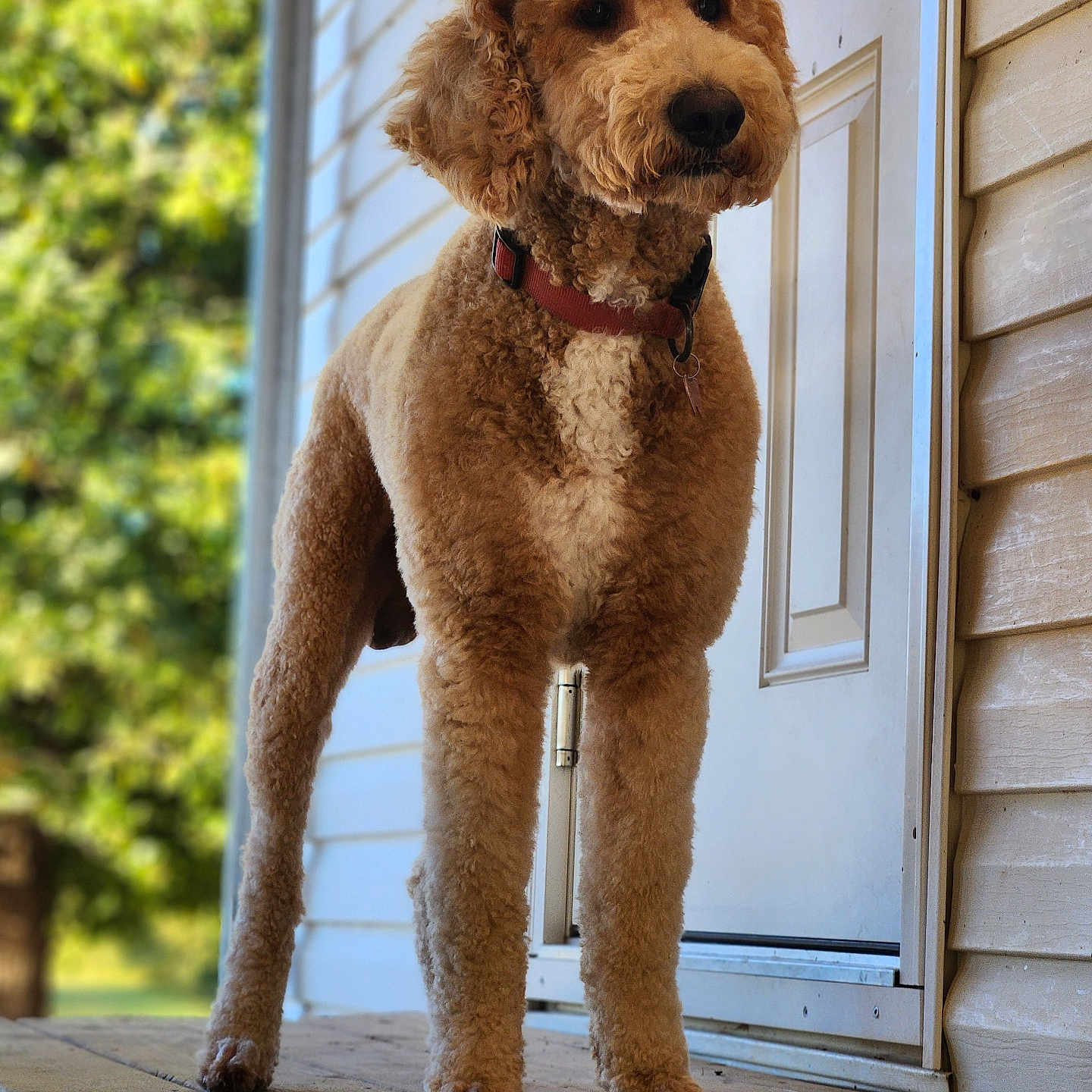 Charles