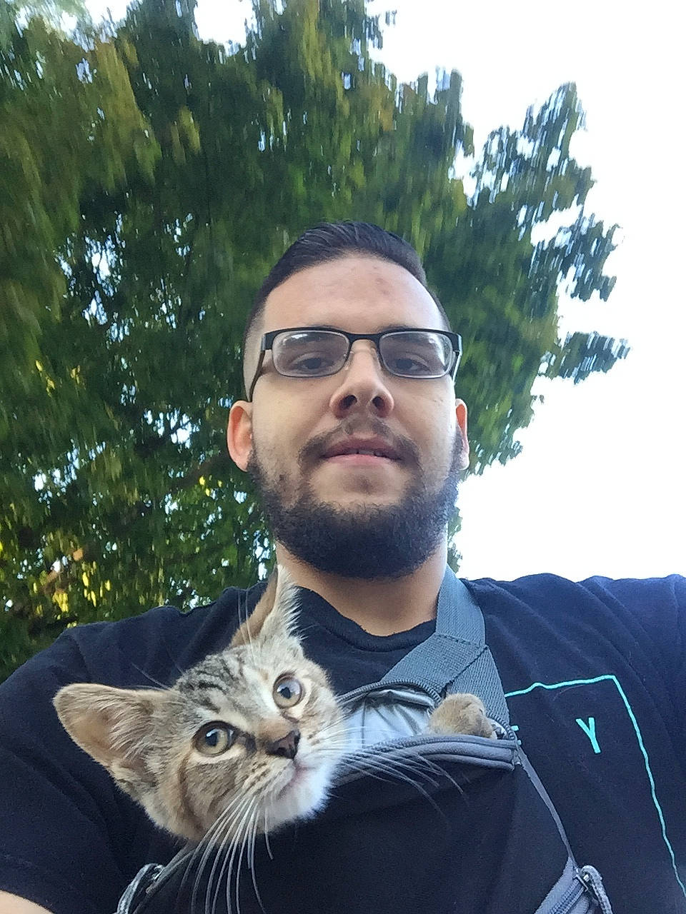 Buzz joined the competition — help win amazing prizes! beard, carnivore, cat, cool, domestic_short_haired_cat, eyewear, facial_hair, felidae, fur, glasses, grass, moustache, selfie, sitting, sky, small_to_medium_sized_cats, sunglasses, tree, vision_care, whiskers