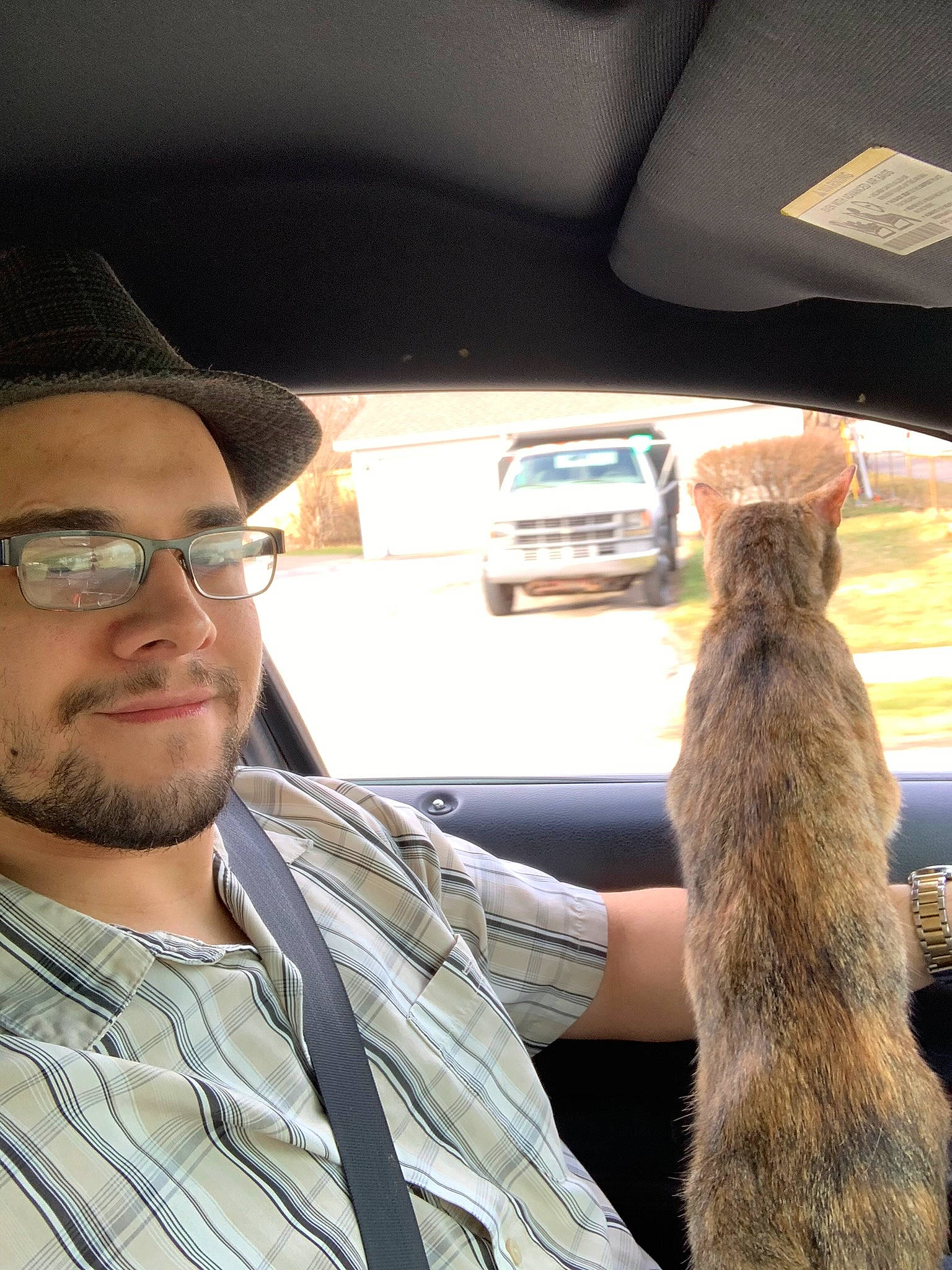 Buzz joined the competition — help win amazing prizes! auto_part, automotive_design, automotive_exterior, automotive_window_part, beard, cap, car, eyewear, facial_hair, family_car, fawn, felidae, luxury_vehicle, military_person, motor_vehicle, personal_luxury_car, vehicle, vehicle_door, vision_care, windshield