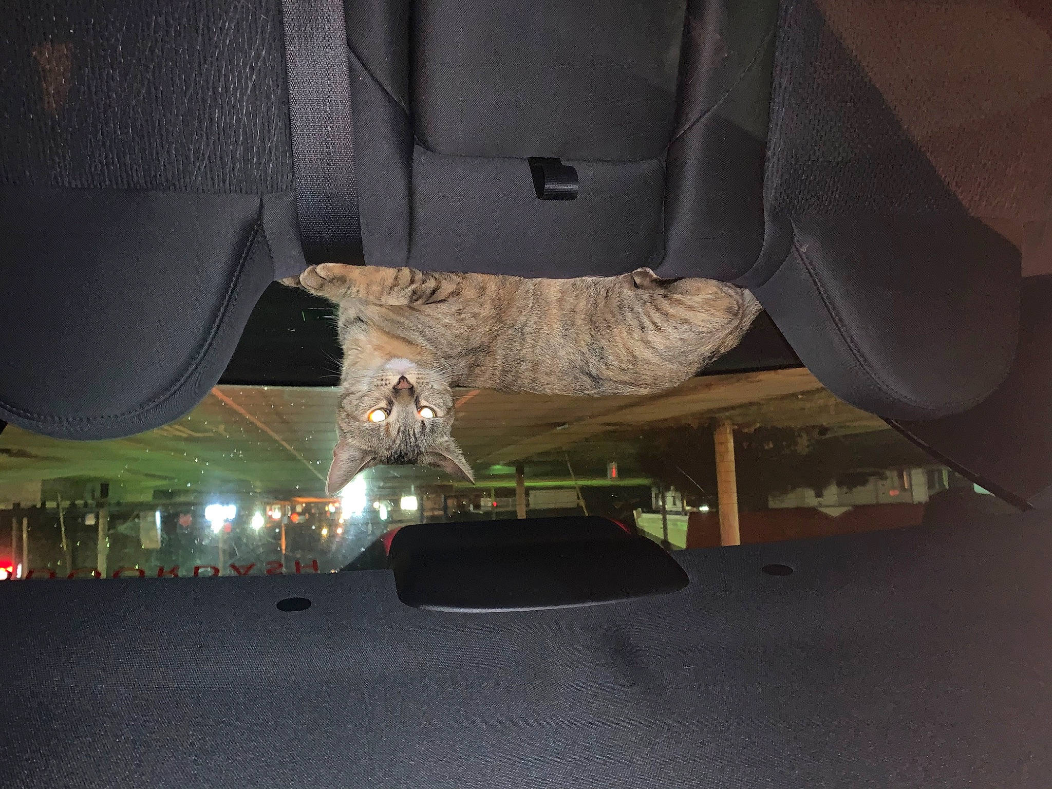 Buzz is registered to the contest to win money with this photo: auto_part, automotive_design, automotive_exterior, automotive_lighting, automotive_tire, automotive_wheel_system, bumper, car, event, fender, hood, luxury_vehicle, motor_vehicle, personal_luxury_car, tints_and_shades, tire, tread, vehicle, vehicle_door, wood