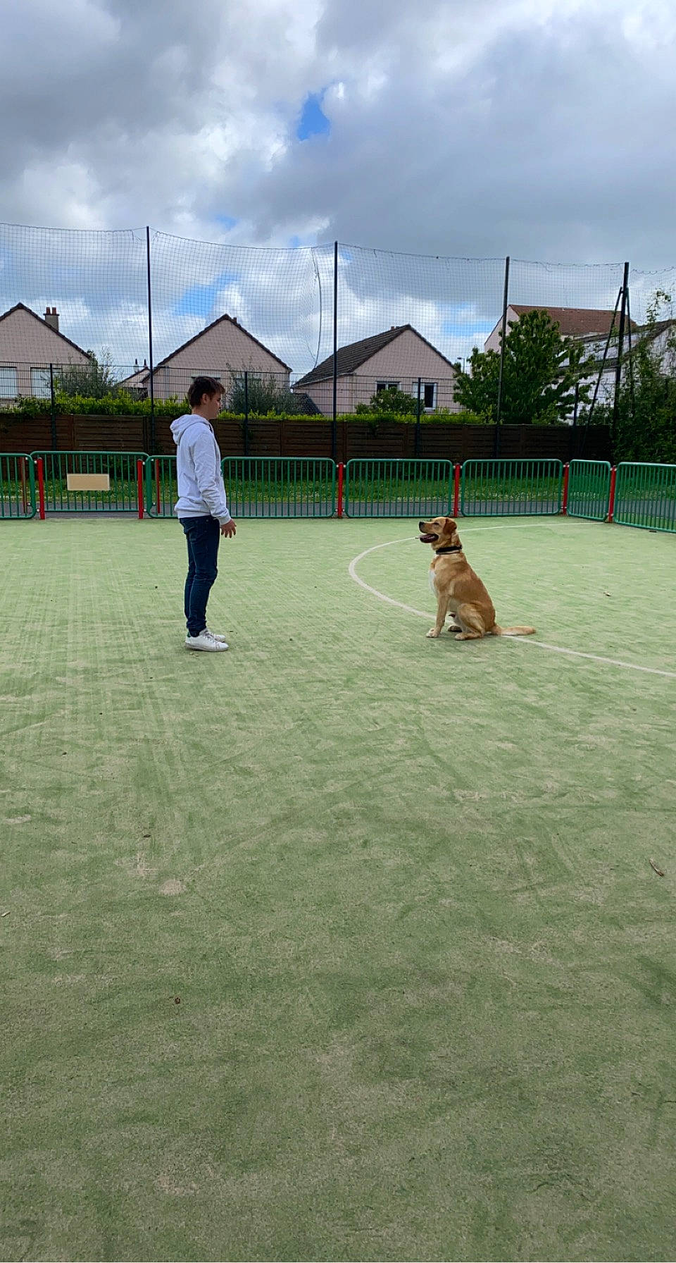Rox participe au concours pour gagner de l'argent avec cette photo : ball_game, building, carnivore, cloud, companion_dog, dog, dog_breed, flooring, grass, leisure, net, player, recreation, sky, sport_venue, sports, sports_equipment, team_sport, tennis_court, tree
