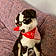 Tucker