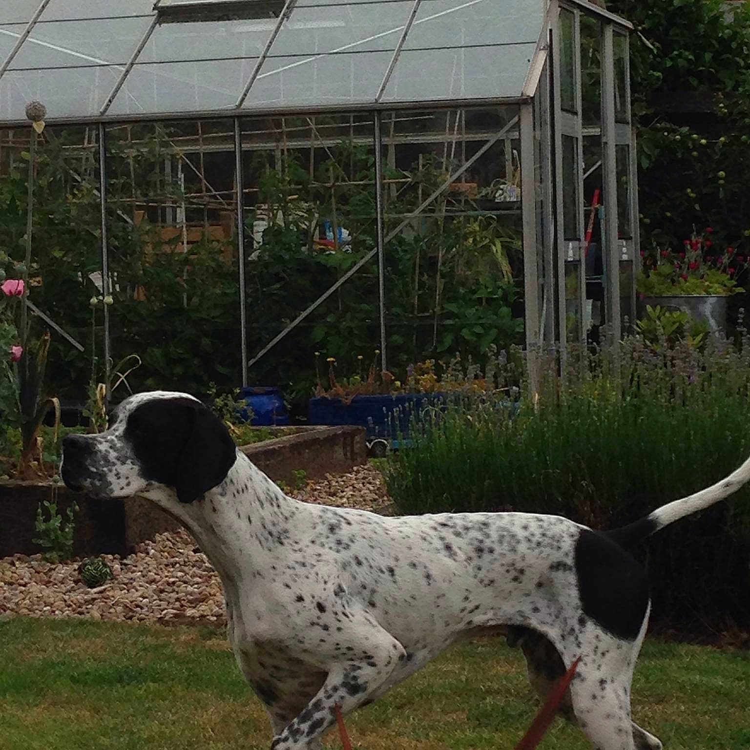 Dave is registered to the contest to win money with this photo: