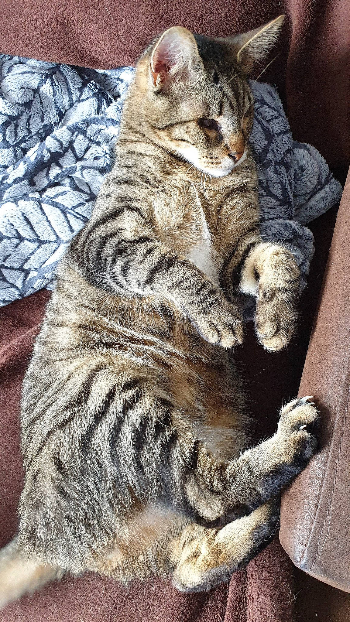 Steevie participe au concours pour gagner de l'argent avec cette photo :