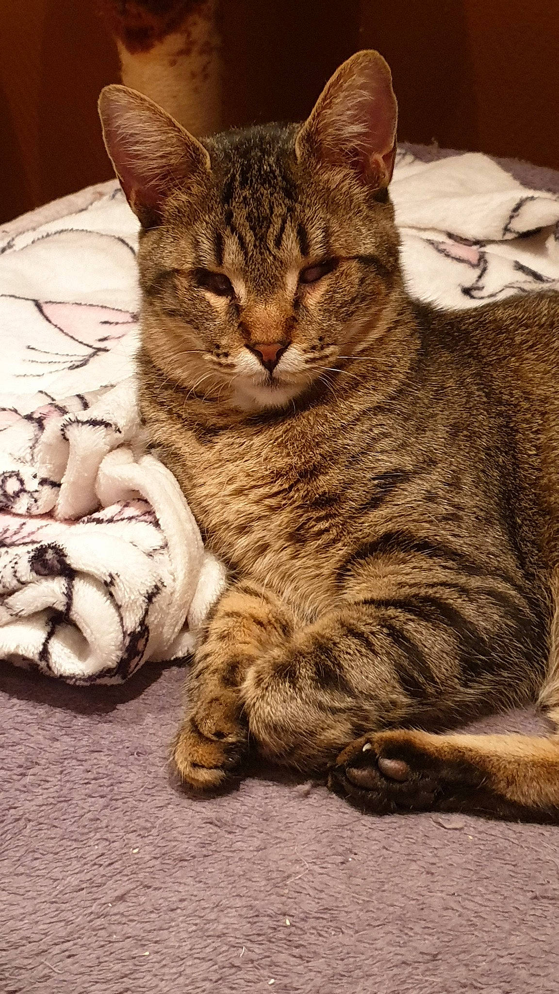 Steevie participe au concours pour gagner de l'argent avec cette photo :