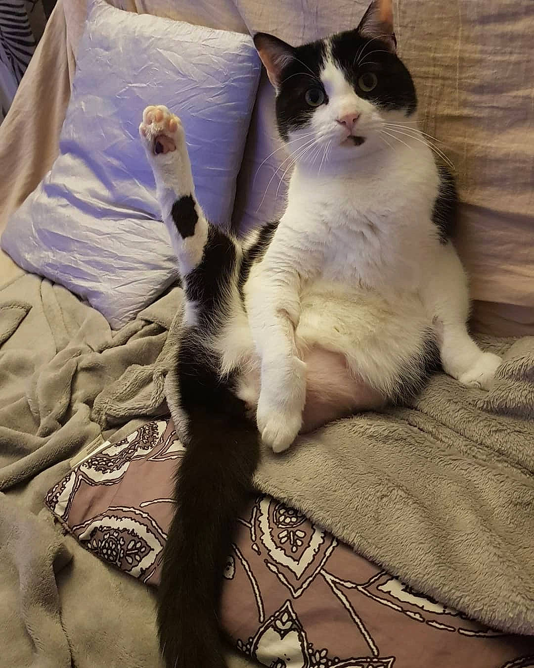 Caramel
