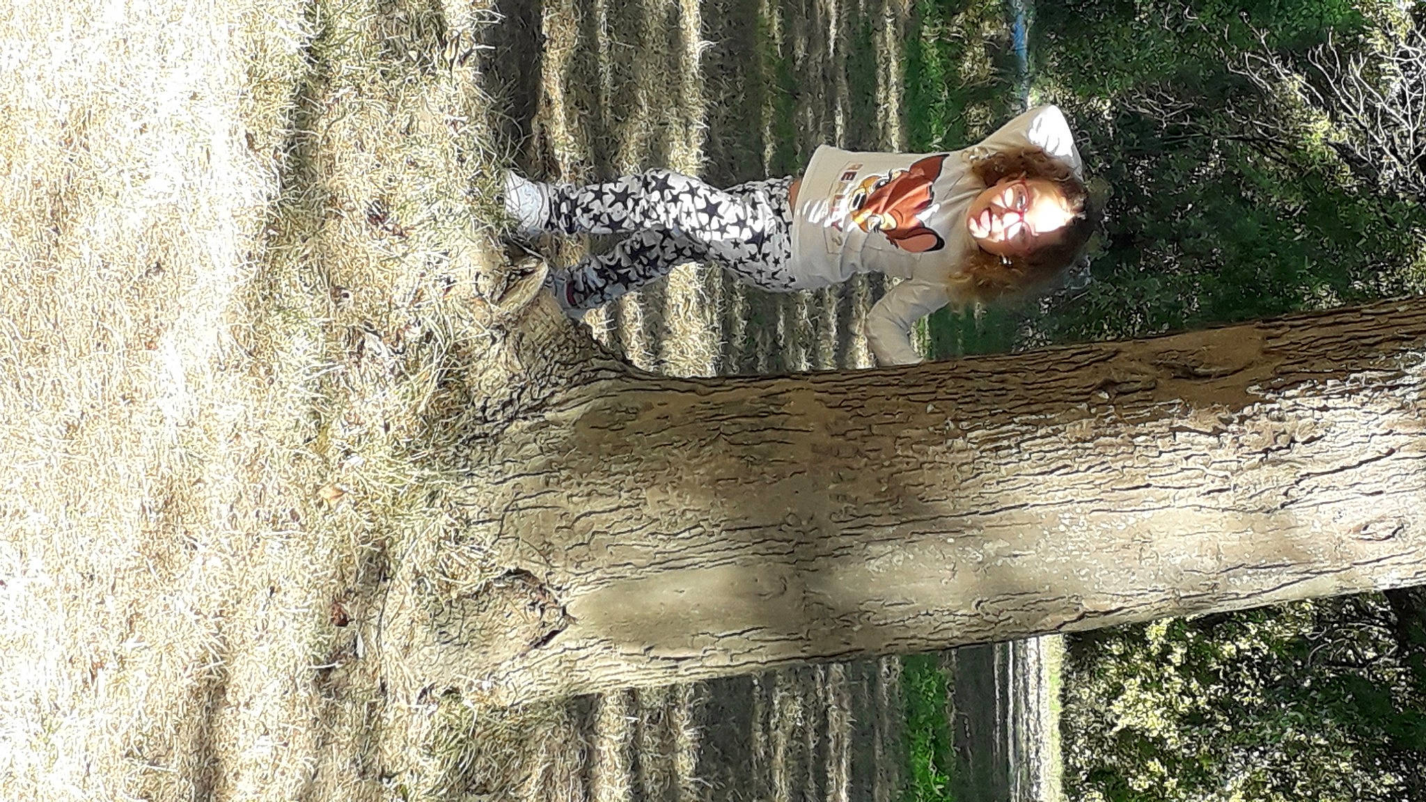 Leonie participe au concours pour gagner de l'argent avec cette photo : canidae, carnivore, dog, fawn, person, sporting_group, tree, trunk, wood