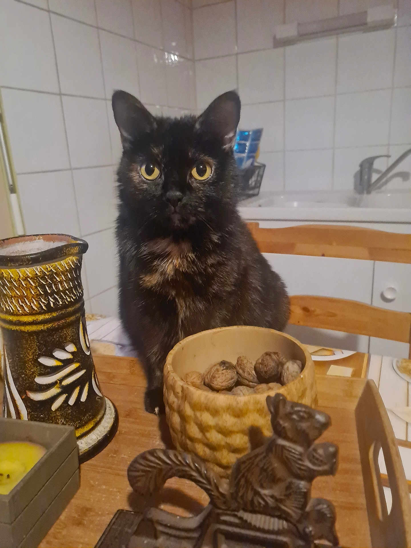 Strudel participe au concours pour gagner de l'argent avec cette photo : cat, tortoiseshell_cat, table, bowl, nuts, figurine, squirrel, candle_holder, wooden_chair, kitchen, tile_wall, indoor, pet, animal, curious, decor, brown, yellow_eyes, furniture, domestic