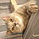 Titou
