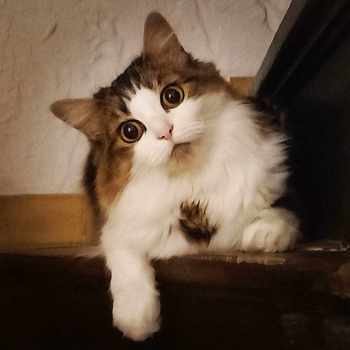 Paupiette