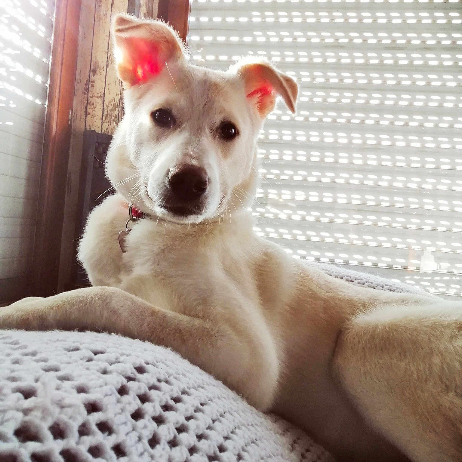 Luna