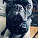 Edgar
