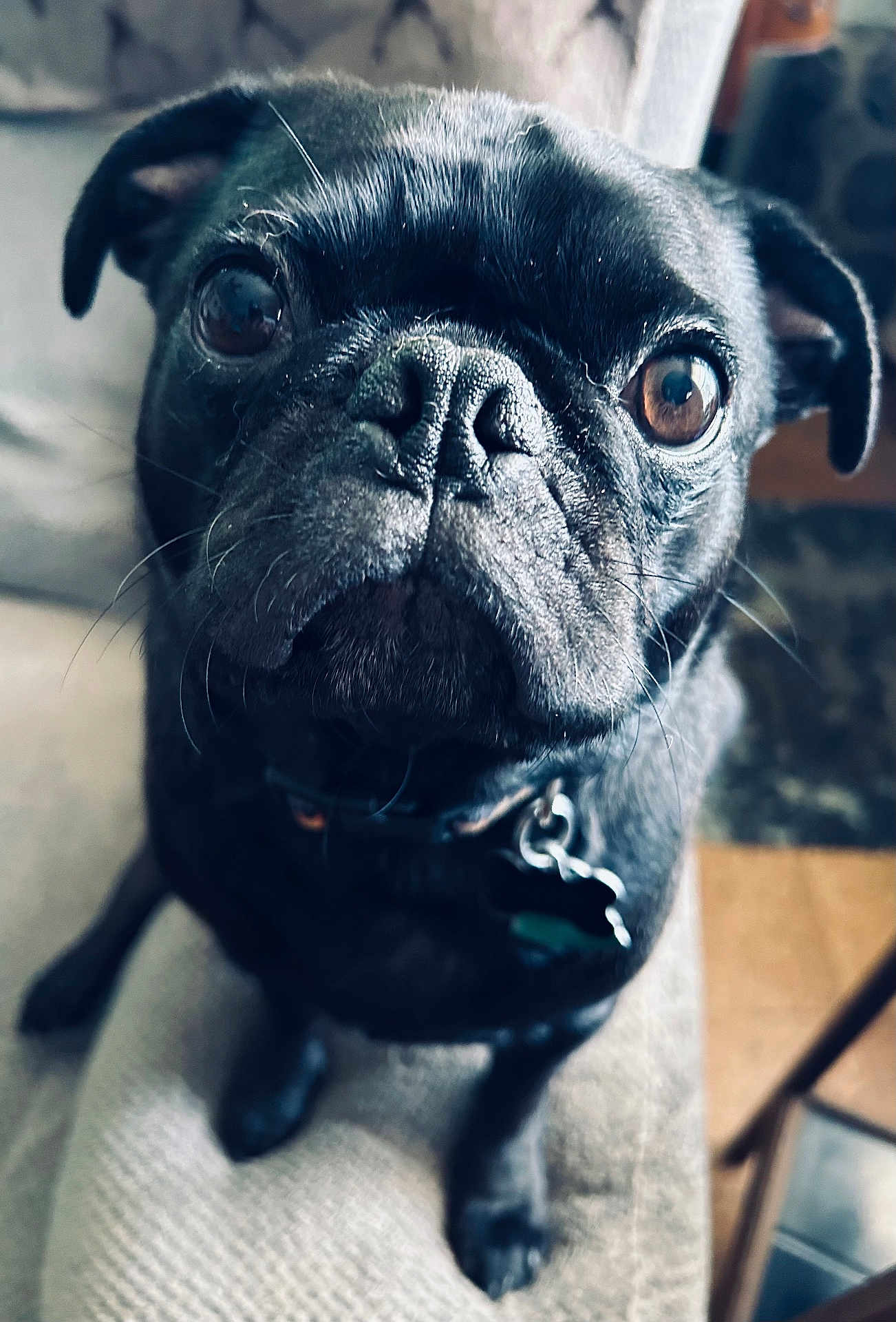 Edgar
