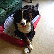 Athos3 participe au concours pour gagner de l'argent avec cette photo :