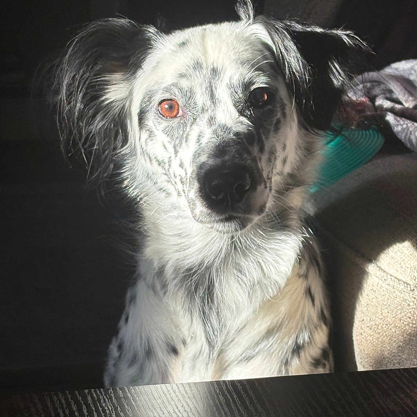 Luna