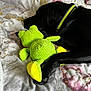 Barney joined the competition — help win amazing prizes! animal, ball, bed, blanket, canine, cat, couch, dog, furniture, homedecor, hound, labradorretriever, pet, plush, puppy, sport, teddybear, tennis, tennisball, toy