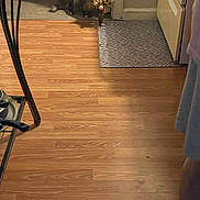Roxanne is registered to the contest to win money with this photo: cat, toy, kitchen, floor, wooden_floor, door, mat, furniture, metal_rack, domestic, indoor, pet, animal, walking, blur, brown, black, home, person, leg