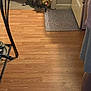 cat, toy, kitchen, floor, wooden_floor, door, mat, furniture, metal_rack, domestic, indoor, pet, animal, walking, blur, brown, black, home, person, leg