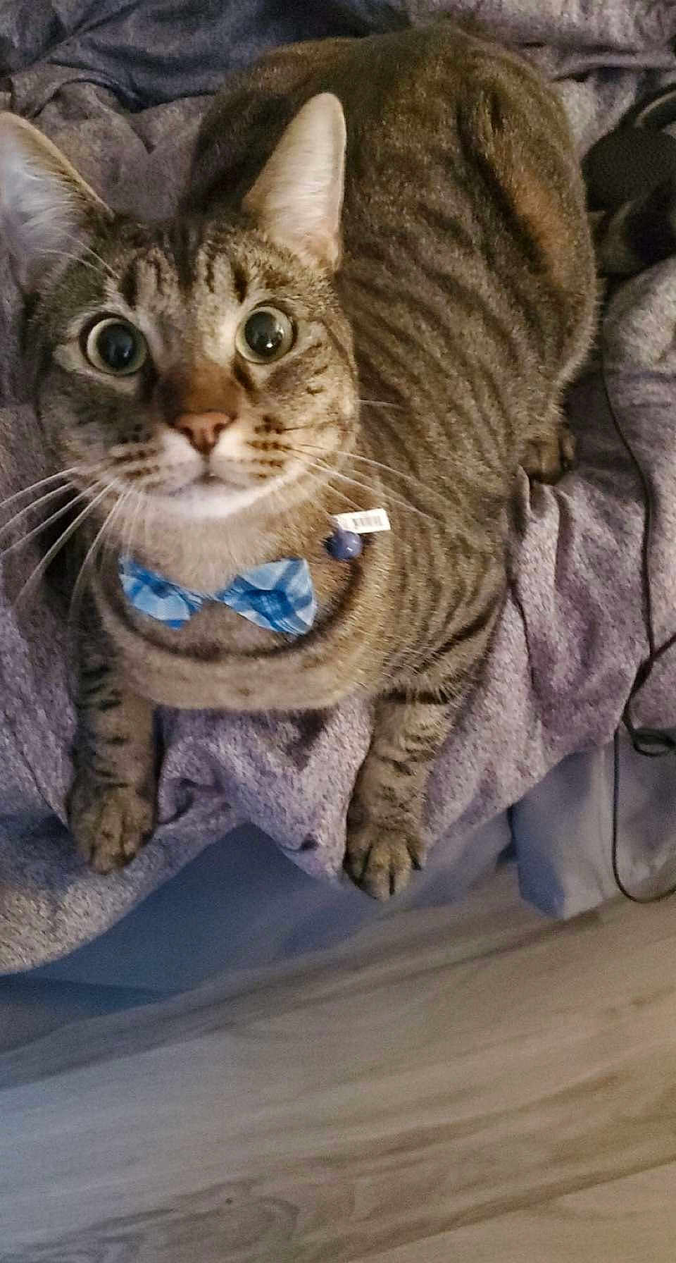 Roscoe