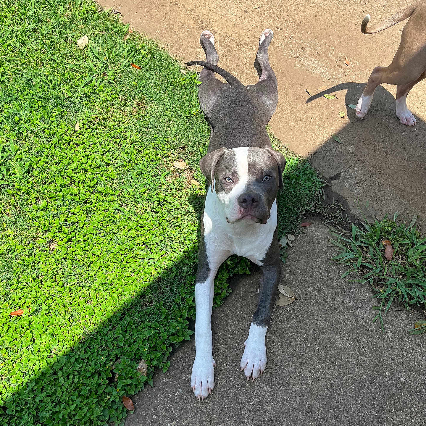 Zeus