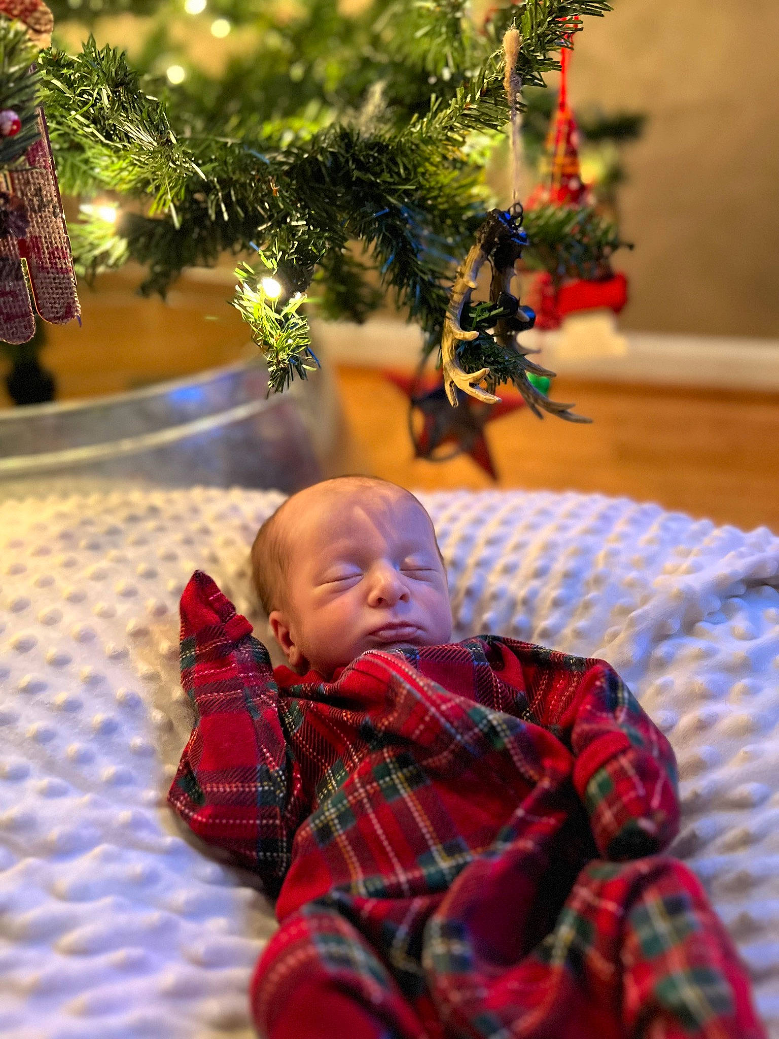 Walker is registered to the contest to win money with this photo: baby, christmas_decoration, christmas_ornament, christmas_tree, comfort, event, evergreen, grass, holiday_ornament, leaf, ornament, pattern, people, person, photograph, plaid, plant, red, tartan, toddler