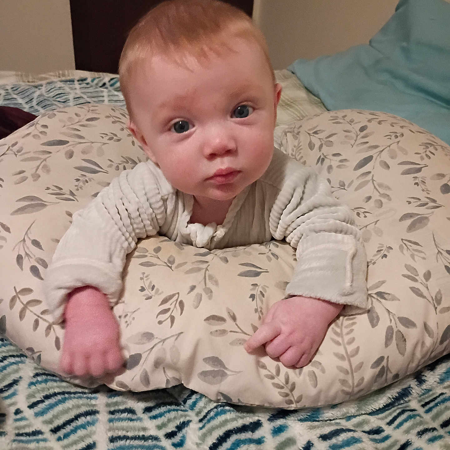 Aurelius is registered to the contest to win money with this photo: baby, infant, child, portrait, face, eyes, looking_at_camera, indoors, bedroom, bed, cushion, pillow, blanket, sweater, clothing, sitting, relaxed, floral_pattern, home, photography