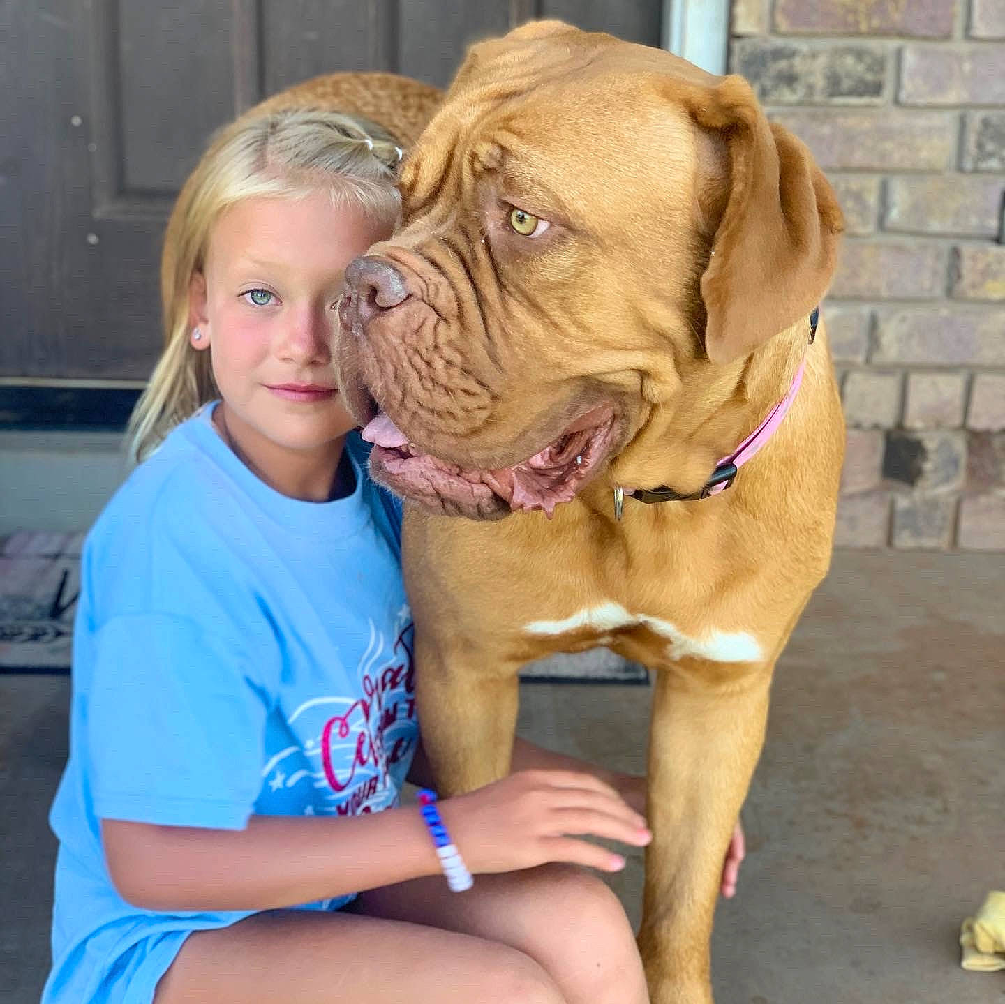 Shyanne is registered to the contest to win money with this photo: ancient_dog_breeds, bullmastiff, canidae, carnivore, companion_dog, dog, dog_breed, dogue_de_bordeaux, english_mastiff, fawn, guard_dog, korean_mastiff, mammal, molosser, person, rare_breed_dog, snout, sporting_group, vertebrate, working_dog