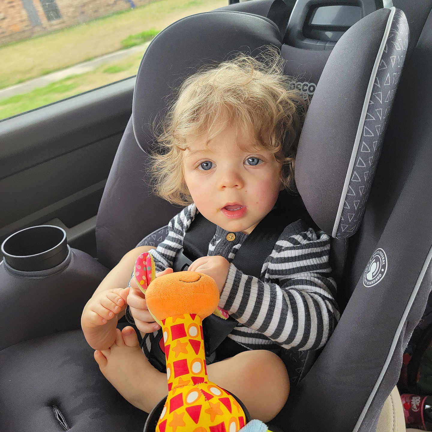Mason is registered to the contest to win money with this photo: toddler, child, car_seat, toy, giraffe, curly_hair, blue_eyes, striped_shirt, seatbelt, car_interior, window, daylight, foot, plush_toy, sitting, looking_at_camera, baby, child_in_car, infant, cute