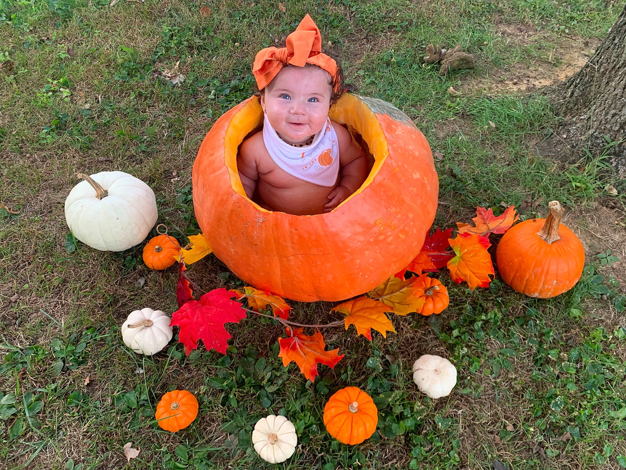 Nalani joined the competition — help win amazing prizes! art, calabaza, cucurbita, event, gourd, grass, happy, headwear, holiday, lawn, musical_instrument, natural_foods, orange, people_in_nature, person, plant, pumpkin, smile, squash, tree