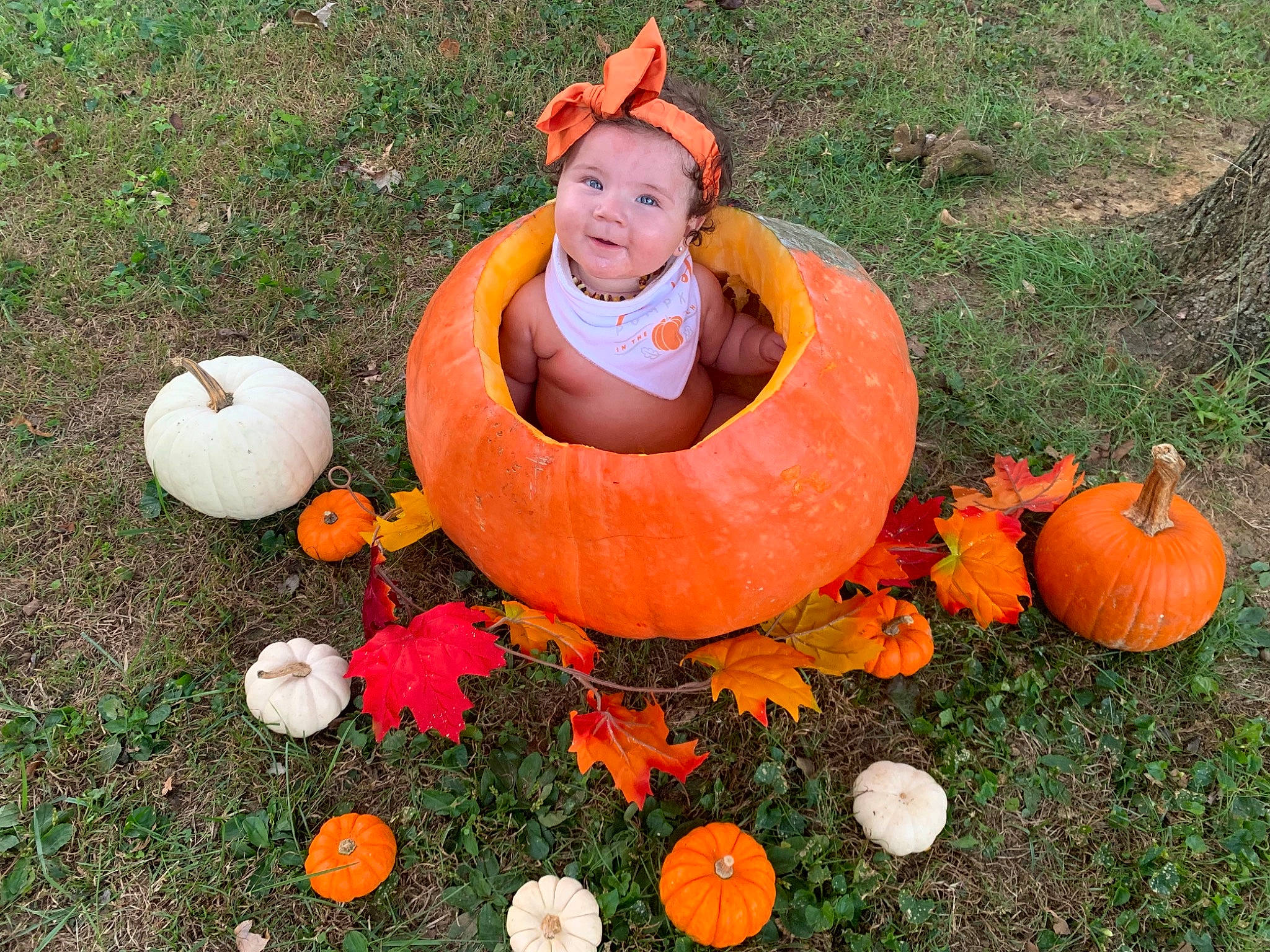 Nalani is registered to the contest to win money with this photo: _and_melon_family, _gourd, art, calabaza, cucumber, cucurbita, event, gourd, grass, holiday, lawn, lawn_ornament, local_food, natural_foods, orange, people_in_nature, person, plant, pumpkin, squash