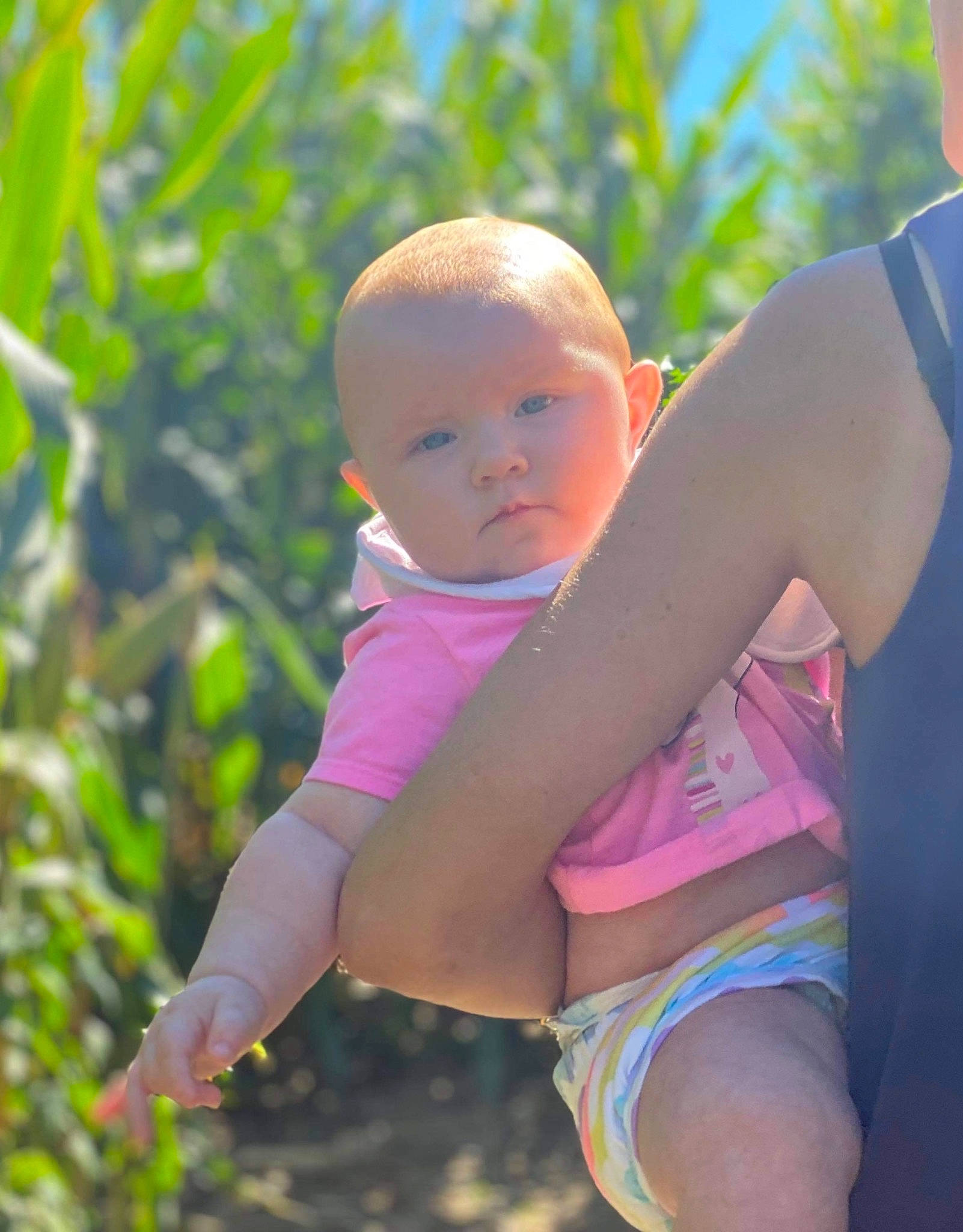 Carly is registered to the contest to win money with this photo: baby, eye, gesture, grass, hairstyle, happy, head, human_body, leisure, nature, people_in_nature, person, plant, shorts, shoulder, skin, sky, sunlight, toddler, tree