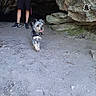 Zeke is registered to the contest to win money with this photo: adventure, cave, dog, ground, happy, leash, nature, outdoor, person_legs, pet, rock_formation, rocks, sand, shadow, shorts, small_dog, sneakers, tank_top, tongue_out, walking