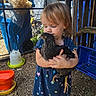 Abigail joined the competition — help win amazing prizes! child, toddler, chicken, bird, animal, holding, dress, stars, outdoor, fence, yard, blue_tarp, crate, ground, rustic, farm, curious, care, person, nature