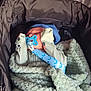 baby, pacifier, blanket, stroller, infant, clothing, sleeping, cozy, blue, soft, child, newborn, cute, bundle, comfort, resting, warm, headwear, fabric, nap