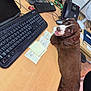 brown_dog, cables, chair, computer_mouse, cute, desk, dog, furniture, happy_dog, indoor, keyboard, monitor, office, pet, sticky_notes, technology, telephone, tongue_out, white_markings, workplace