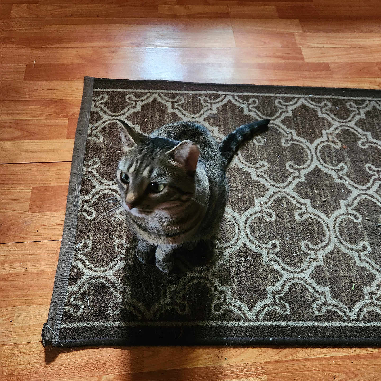 Izzy