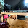 dog, dachshund, wooden_furniture, drawer, tv_stand, television, game_console, controller, books, bag, floor, indoor, pet, curious, brown_dog, living_room, reflection, decor, cozy, resting