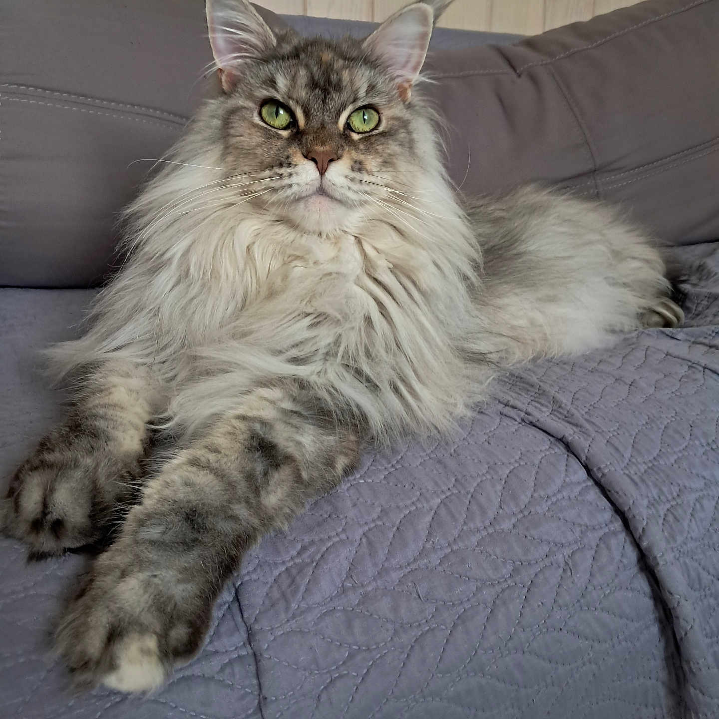 Winnie