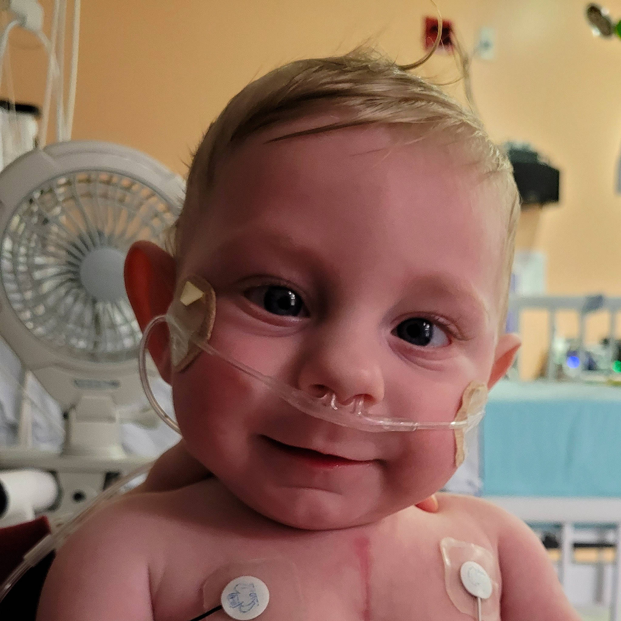 Lachlan joined the competition — help win amazing prizes! arm, cheek, chin, ear, eyebrow, eyelash, forehead, gesture, hair, happy, head, iris, jaw, joy, lip, mouth, muscle, neck, nose, person