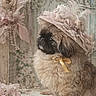 calm, cute, decor, dog, elegant, feathers, flowers, fluffy, hat, indoor, ornate, pastel, pet, portrait, ribbon, sitting, soft_light, still_life, vintage, wallpaper