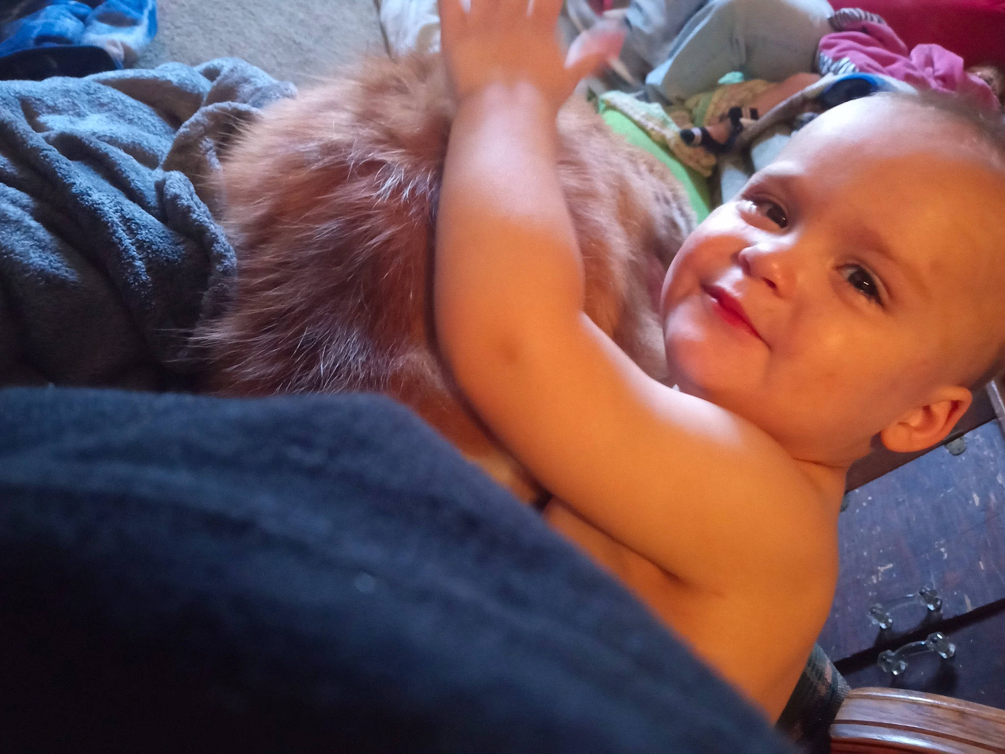 Steven is registered to the contest to win money with this photo: abdomen, baby, barechested, chest, child, companion_dog, event, fun, fur, gesture, grass, happy, joy, laugh, leisure, love, person, sitting, smile, toddler