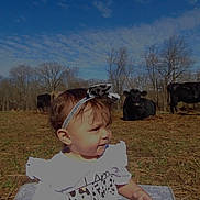 Journie is registered to the contest to win money with this photo: animal, baby, bodypart, bull, cattle, countryside, cow, face, farm, field, finger, grassland, hand, head, livestock, nature, outdoors, person, photography, portrait