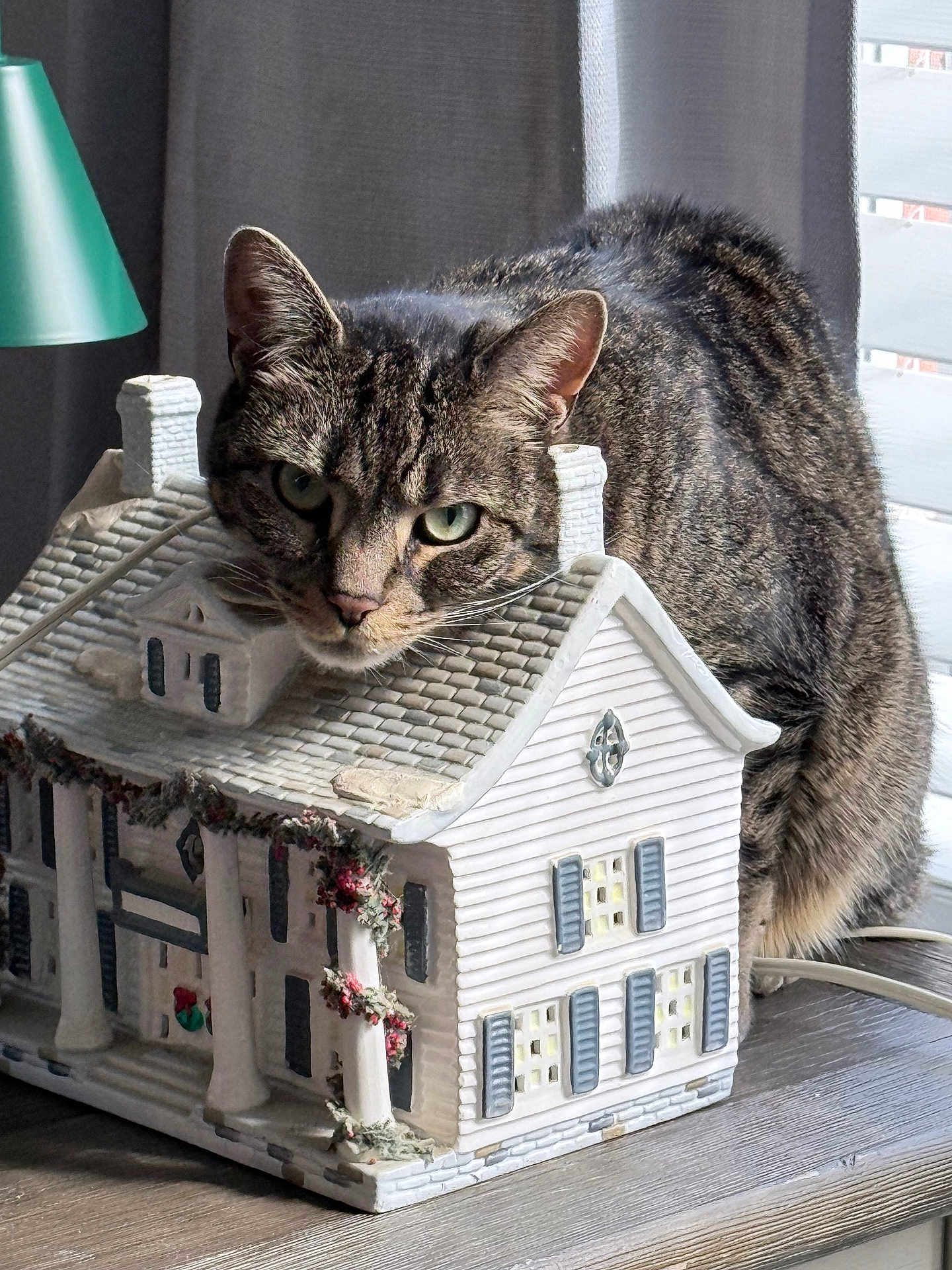 Mini is registered to the contest to win money with this photo: cat, tabby, miniature_house, decor, table, window, curtains, indoor, pet, feline, resting, head, gray, striped, ears, whiskers, lamp, ornament, closeup, cozy