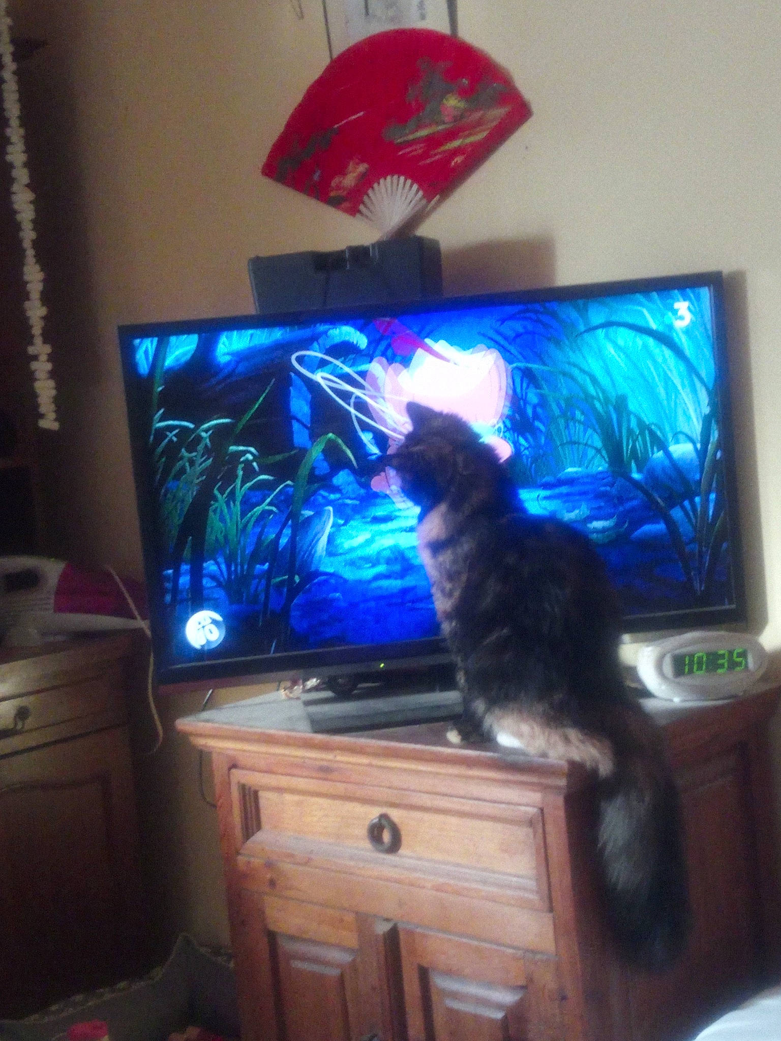 Melba participe au concours pour gagner de l'argent avec cette photo : cabinetry, carnivore, cat, computer_monitor_accessory, desktop_computer, display_device, drawer, electronic_device, felidae, flat_panel_display, furniture, gadget, home_appliance, small_to_medium_sized_cats, tail, technology, television, television_set, whiskers, wood