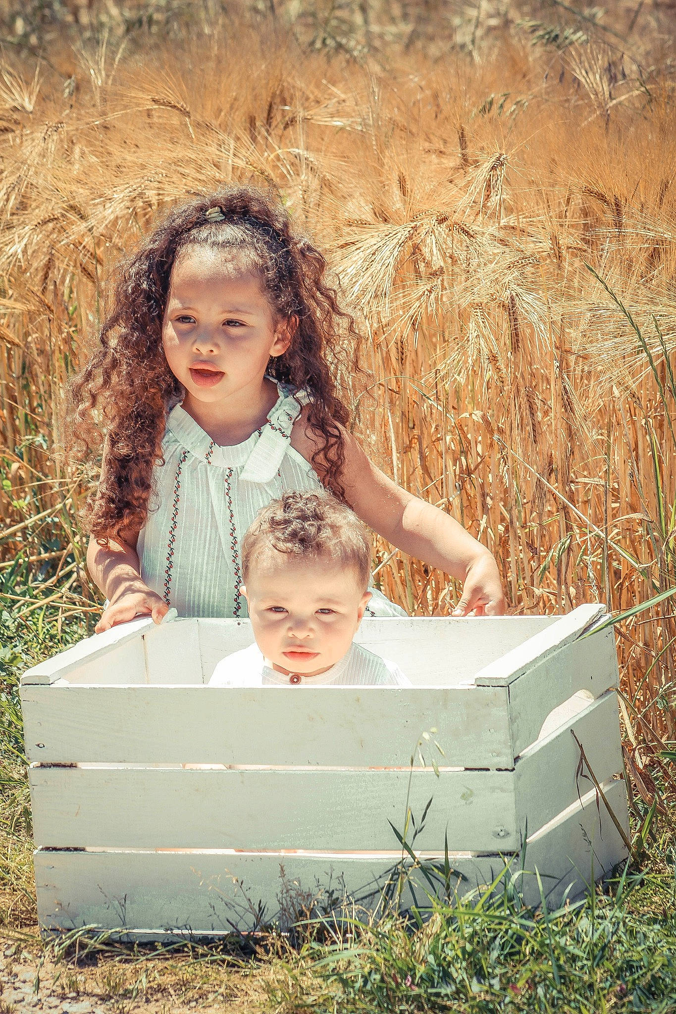 Reda participe au concours pour gagner de l'argent avec cette photo : adaptation, child, dress, flash_photography, fun, grass, grassland, happy, leisure, mammal, people, people_in_nature, person, photograph, plant, rural_area, sitting, soil, toddler, vertebrate