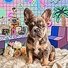 french_bulldog, puppy, dog, fluffy_blanket, flowers, rubiks_cube, cassette_tape, retro, neon_lights, geometric_shapes, palm_tree, colorful_background, indoor, portrait, cute, animal, pet, fur, ears, sitting