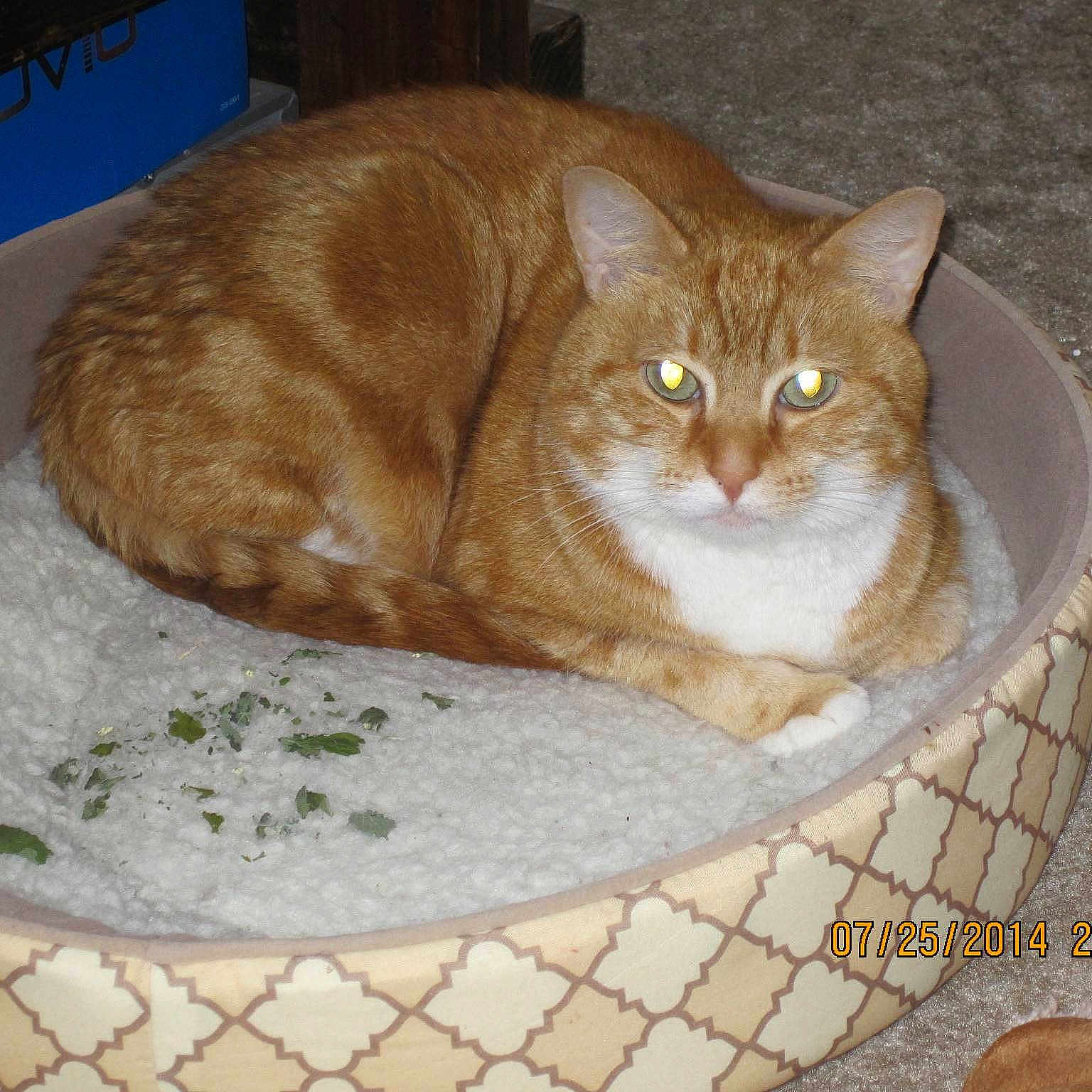 Butters is registered to the contest to win money with this photo: