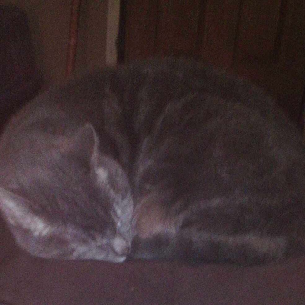 Sage joined the competition — help win amazing prizes!